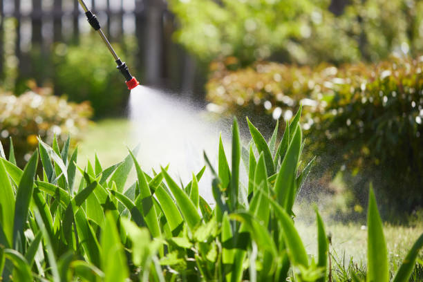 24/7 Emergency Wasp Removal experts in Five Points, FL
