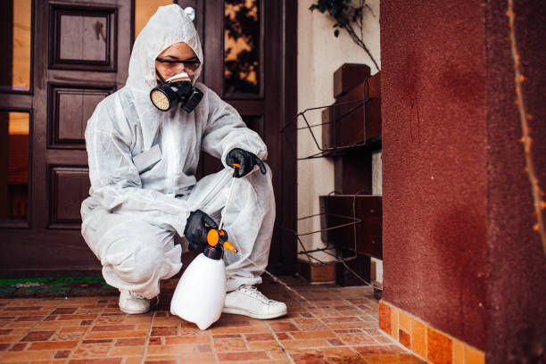 Reliable Wasp Removal contractor in Five Points, FL by Show Me Pest Control